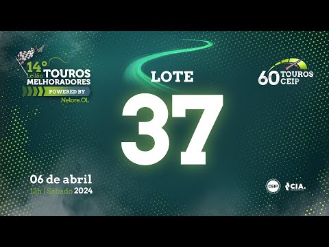 LOTE 37 V9016222 - 14º Leilão de Touros Melhoradores Nelore OL - Edição Virtual