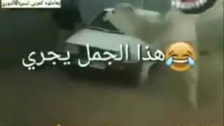 Arab Meme #1