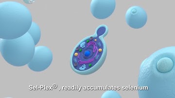 What is Sel-Plex?