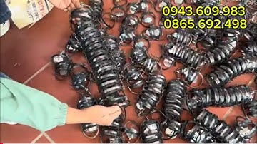 CẠM 9cm ĐÁNH CHUỘT ĐỒNG, CHUỘT THỊT, KẸP BÁN NGUYỆT ĐÁNH CÒ , ĐÁNH CHUỘT. GIÁ CHỈ 8K