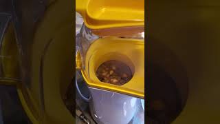 The Great EXPIRED Popcorn Experiment