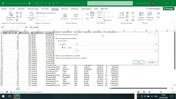 La fonction Filtre personnalisé