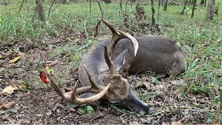 Ep. 4  Big Buck Down!  A SC Public Land Series