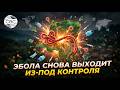 Вспышка Эболы набирает обороты