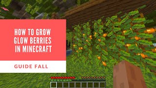 How to Grow Glow Berries in Minecraft