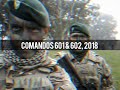 Compañia de comandos 601 & 602 2018