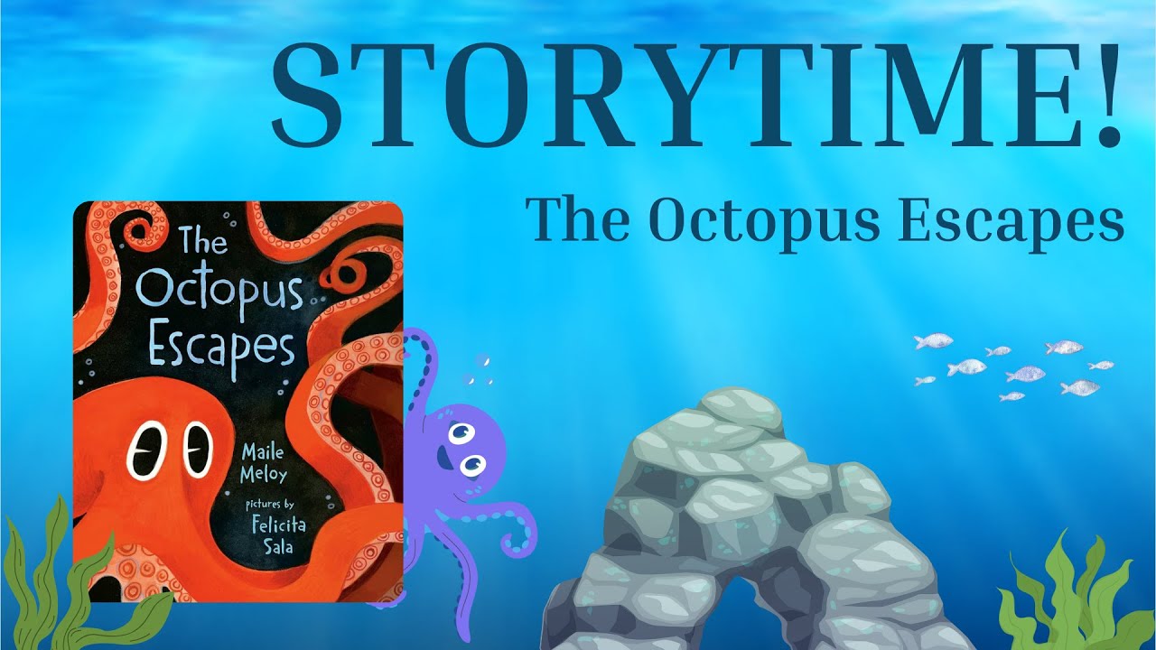 サブライム / stories,tales,lies&exaggerations Hansel and Gretel: The Witch's Trap! 🧙‍♀️✨ Magical Fairy Tale