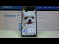 Display Theme - MOTOROLA Moto G10 & Screen Style Changing