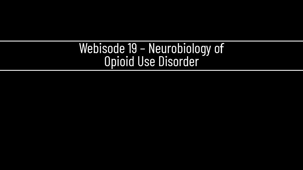 Webisode 19 – Neurobiology of Opioid Use Disorder