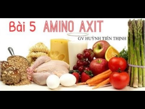 Lý thuyết amino axit