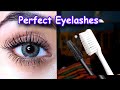 Thick & Long Eyelashes in Few Seconds - Tips &Tricks!