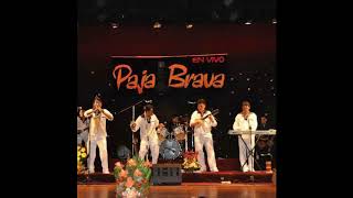 Video thumbnail of "Paja Brava - Buena Suerte"
