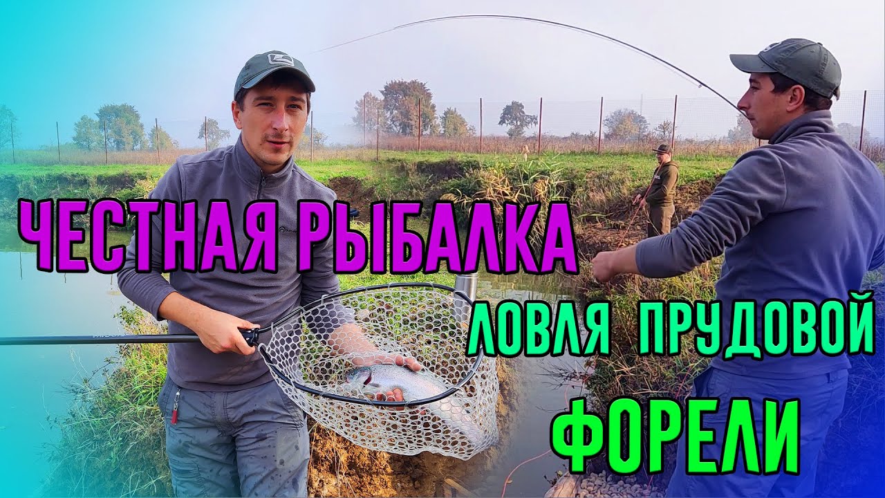 Озера адыгеи рыбалка цена и отзывы Озера адыгеи рыбалка цена и отзывы