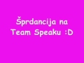 Šprdancija na Team Speaku :D