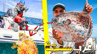 العيش الحر:صيد في قاع المحيط🐟صدفنا أغرب😱الكئنات البحرية 🐏🧐