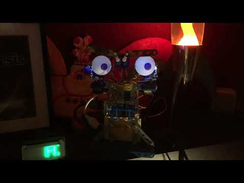Raspberry pi Squeezebox & Robot