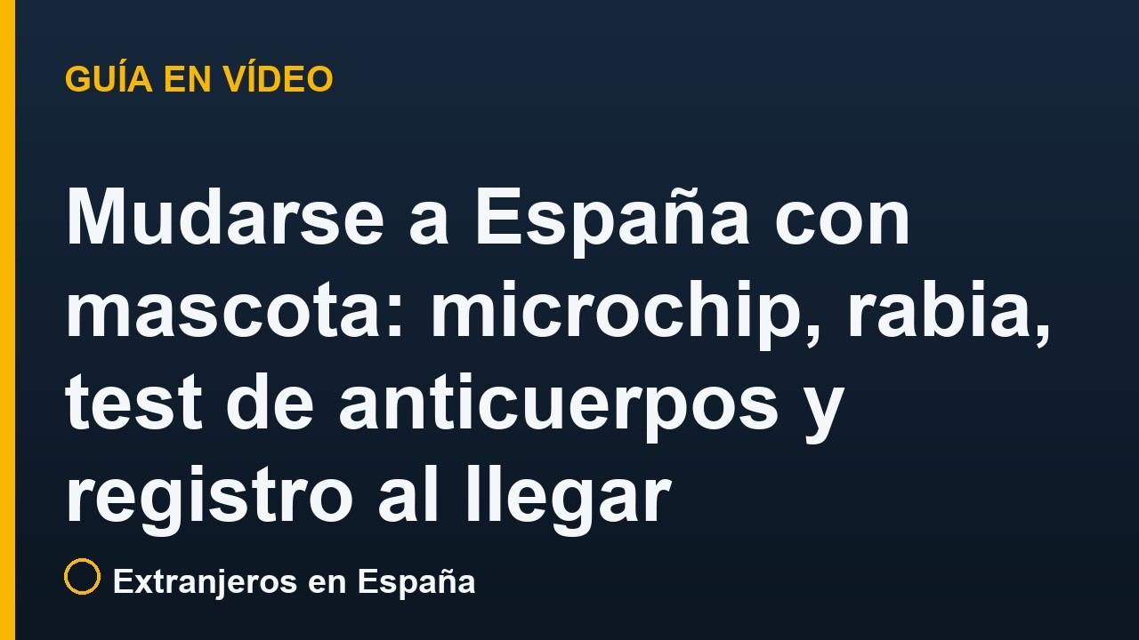 Mudarse a España con mascota: microchip, rabia, test de anticuerpos y registro al llegar