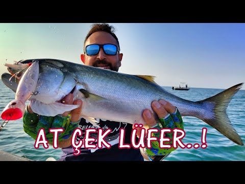 At Çek Lüfer