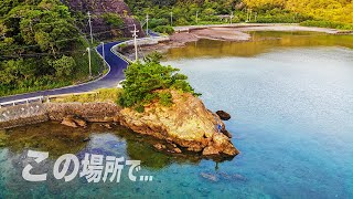 道路沿いの小さな磯がまさかの神ポイントだった...