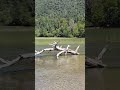 NATURALEZA escondida en el *PARQUE NACIONAL NAHUEL HUAPI* increíble Lago Falkner NEUQUÉN - PATAGONIA