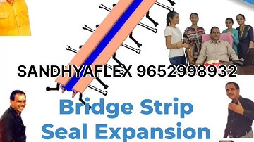 Strip seal Expansion Joint