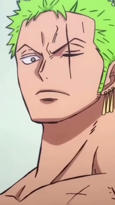 The demon swordsman's path. #zoro #onepieceedit #anime #santoryu #trending