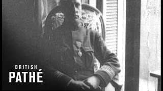Navy Officer (1914-1918) Navy Officer (1914-1918)