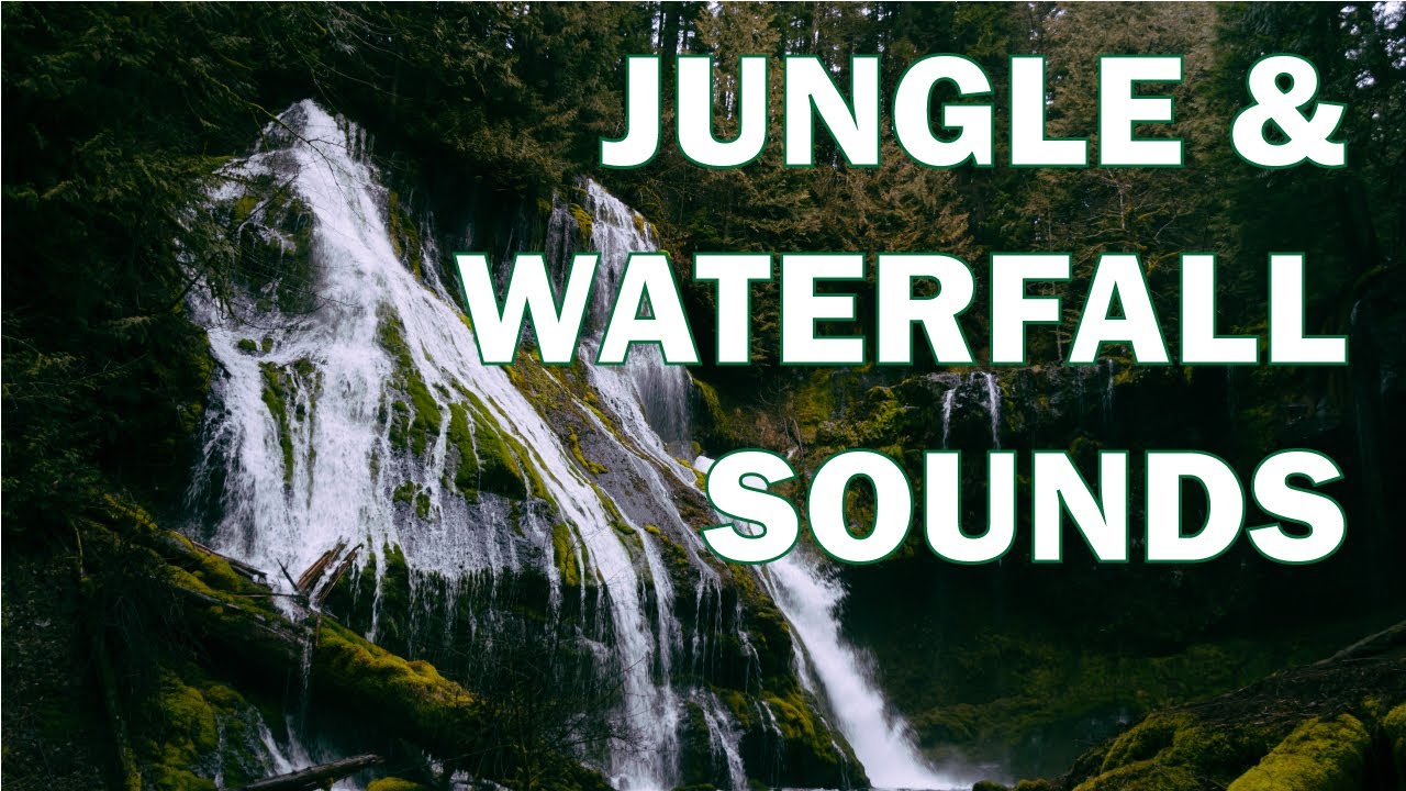 CHILL, RELAXING JUNGLE AND WATERFALL SOUNDS - Sounds for relaxation ...