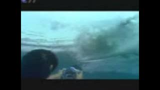 Download lagu RCTI Diplomat Mild