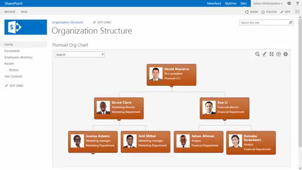 Microsoft Organization Chart 2013