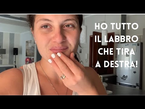 Video: Infertilità Nelle Gatte