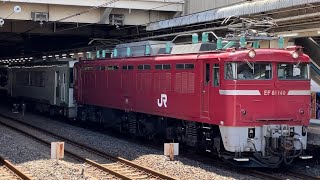 タイフォン鳴った！【キハ110-222  KY入場配給（全検）】国鉄EF81形140号機＋JR東日本キハ110系200番台ｸﾝ222号車が大宮駅11番線発車するシーン（配8127レ）2023.8.25