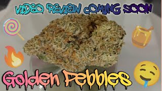 #89 Golden Pebbles (Official Product Review Coming Soon) Rise Dispensary