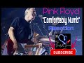 Pink Floyd  - "Comfortably Numb”  Pulse (Reaction)