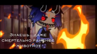 Знаешь...даже смертельно раненое животное•meme•Оригинал•gacha club #44