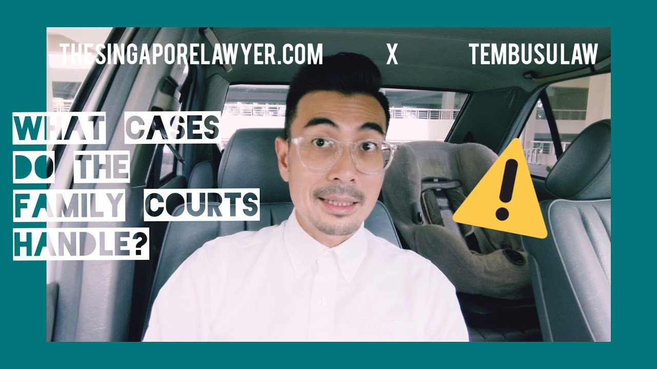  TheSingaporeLawyer Episode 20 What Kind Of Cases Does The Family 