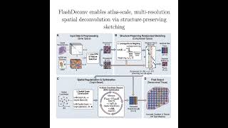 383-FlashDeconv: Atlas-Scale Spatial Deconvolution
