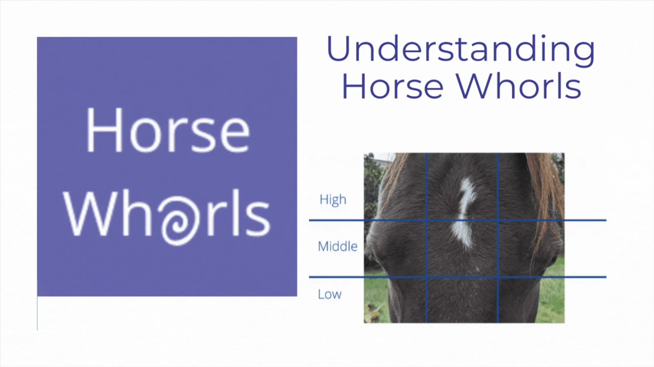 Understanding Horse Whorls, the book! YouTube