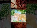 #lionking #animal art
