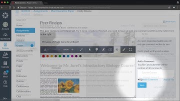 Peer Reviews   Canvas Tutorial Video Series