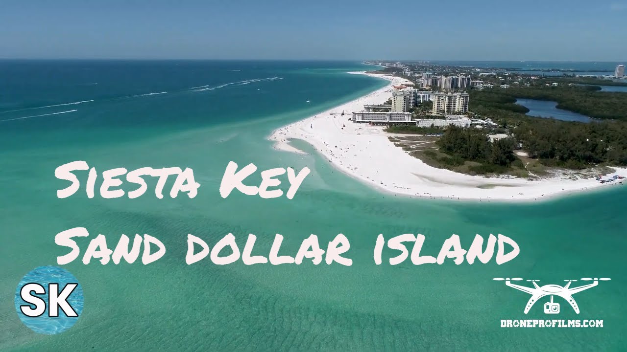 Siesta Key Sand dollar island YouTube