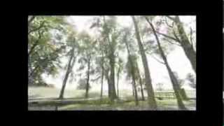 Camera Stabilizer - Motion Stabilizer Training