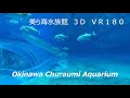 美ら海水族館3D(VR180) 少し高画質バージョン Churaumi Aquarium,Okinawa,Japan