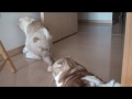 兄ちゃん、取れました!