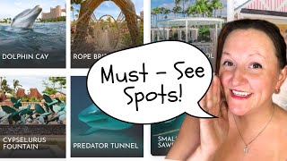 Top 10 FREE Atlantis Bahamas Guest Experiences - You Can&#39;t Miss!