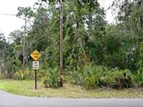 401 Davidson Ave, Inverness, FL home video tour