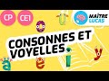 Les consonnes et les voyelles cp  ce1  cycle 2  franais  lecture  fle