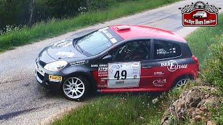 Rallye du Bassin Annonéen 2024 [MISTAKES]