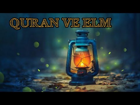 Video: Elm Adları Nə öyrənir