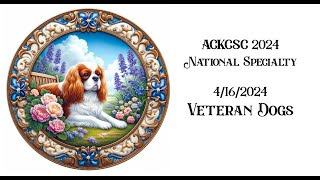 ACKCSC  2024  National Specialty 4/16/2024  Veteran Dogs